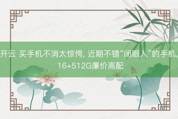 开云 买手机不消太惊愕, 近期不错“闭眼入”的手机, 16+512G廉价高配